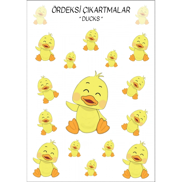 Ördekler Çıkartma