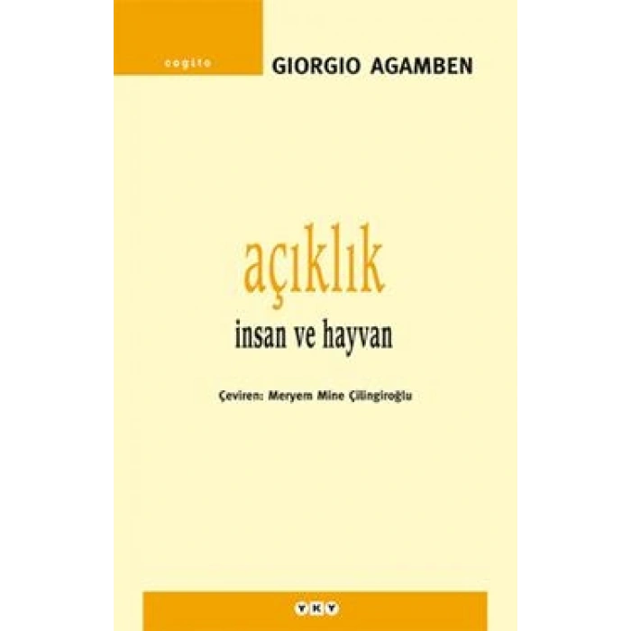 Açıklık