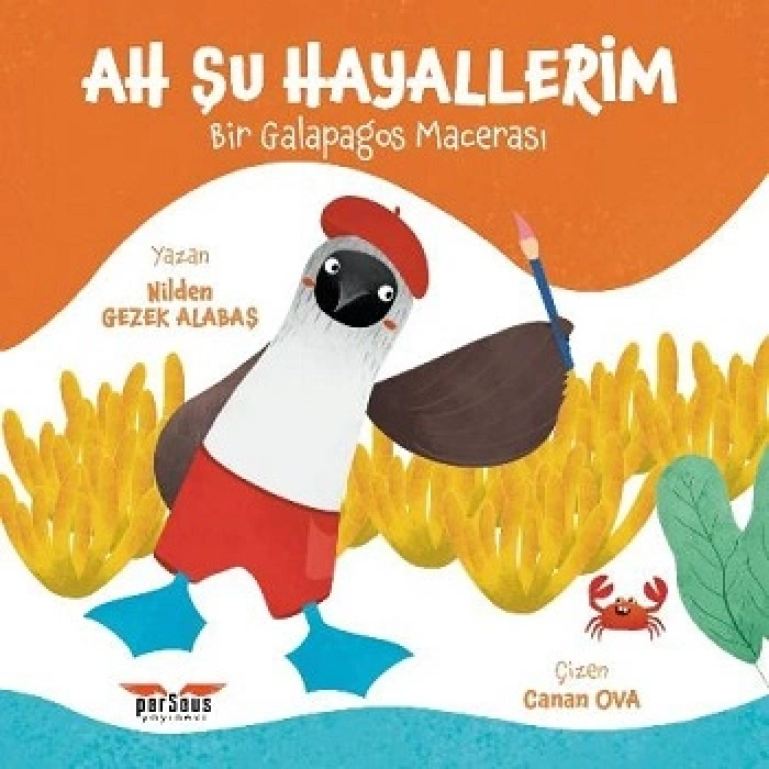 Ah Şu Hayallerim