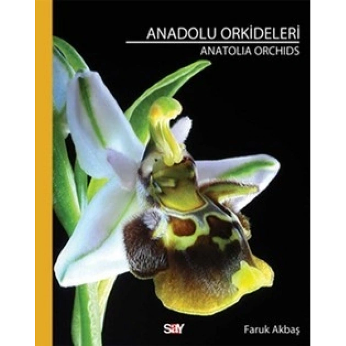 Anadolu Orkideleri