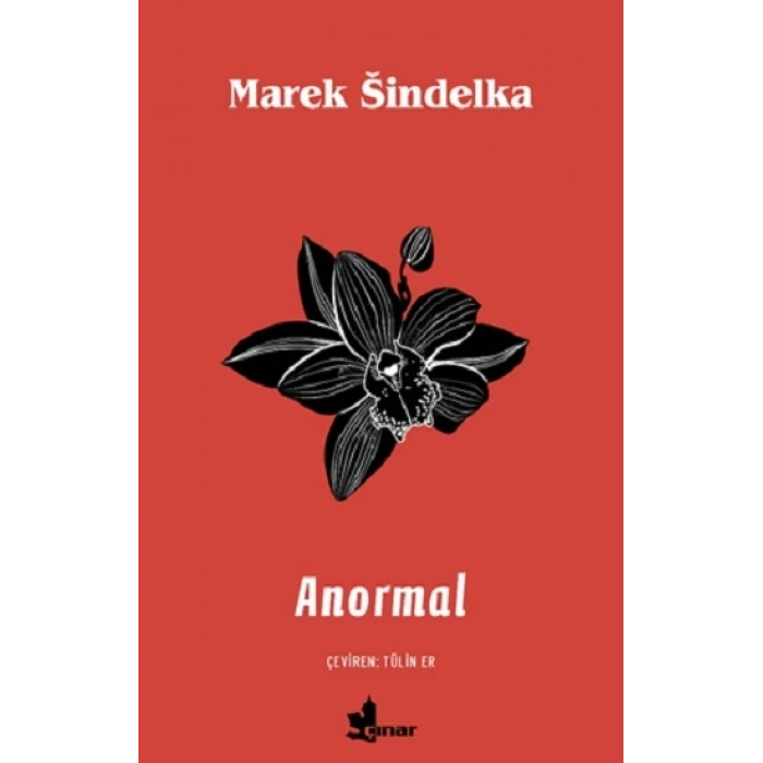 Anormal