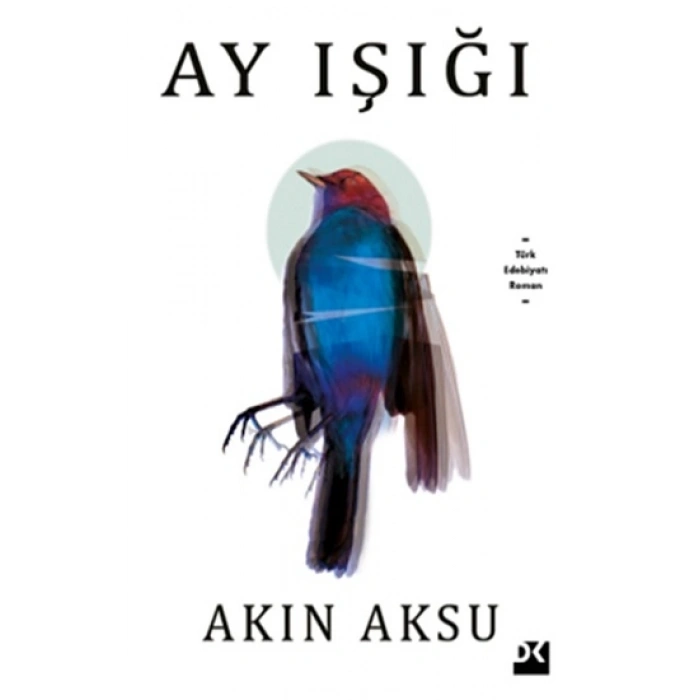 Ay Işığı