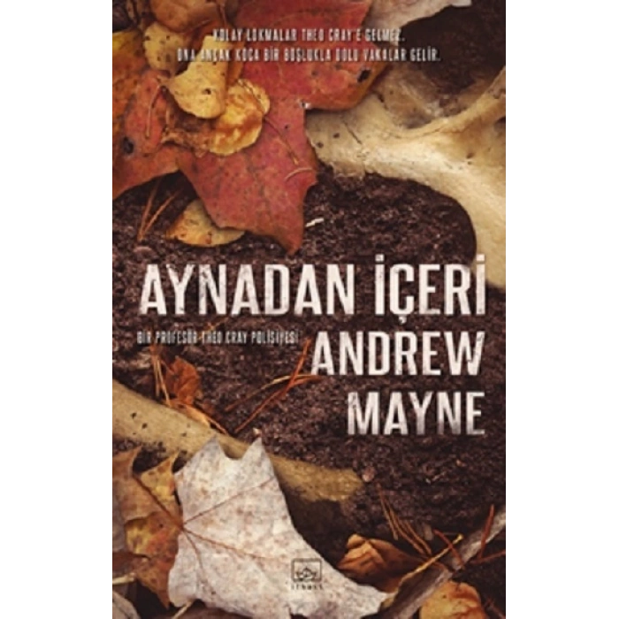 Aynadan İçeri