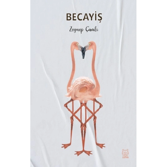 Becayiş