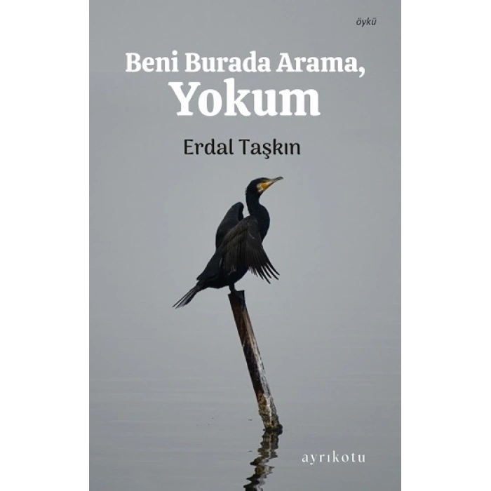 Beni Burada Arama, Yokum