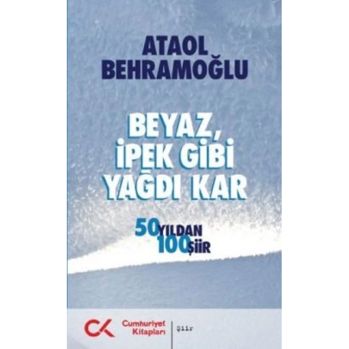 Beyaz İpek Gibi Yağdı Kar