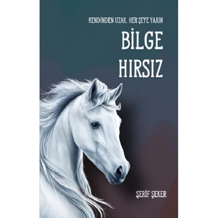 Bilge Hırsız