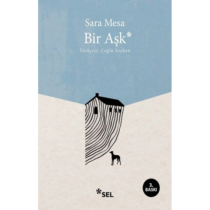 Bir Aşk