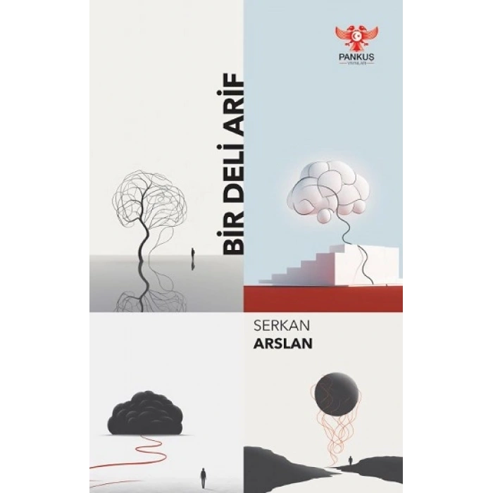 Bir Deli Arif