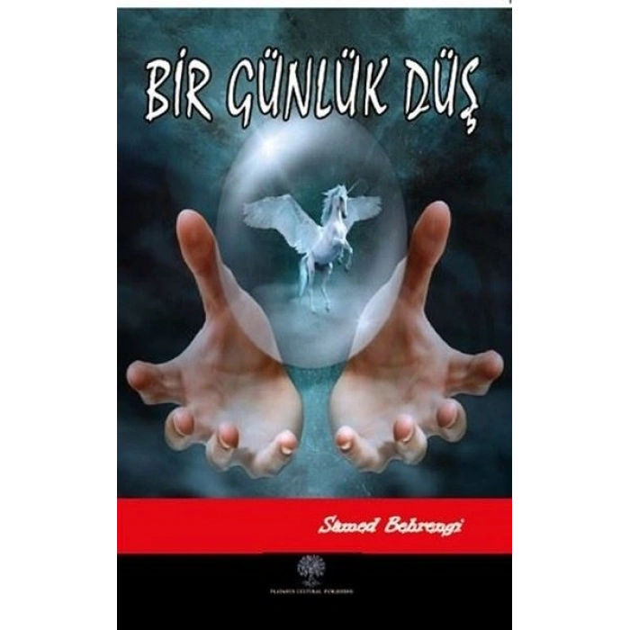 Bir Günlük Düş