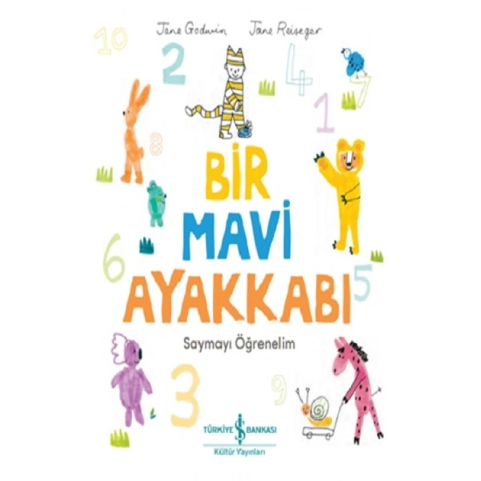 Bir Mavi Ayakkabı