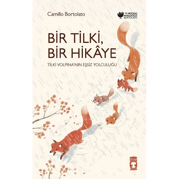 Bir Tilki, Bir Hikaye