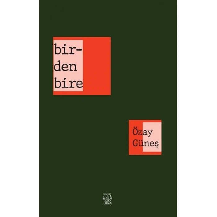 Birdenbire