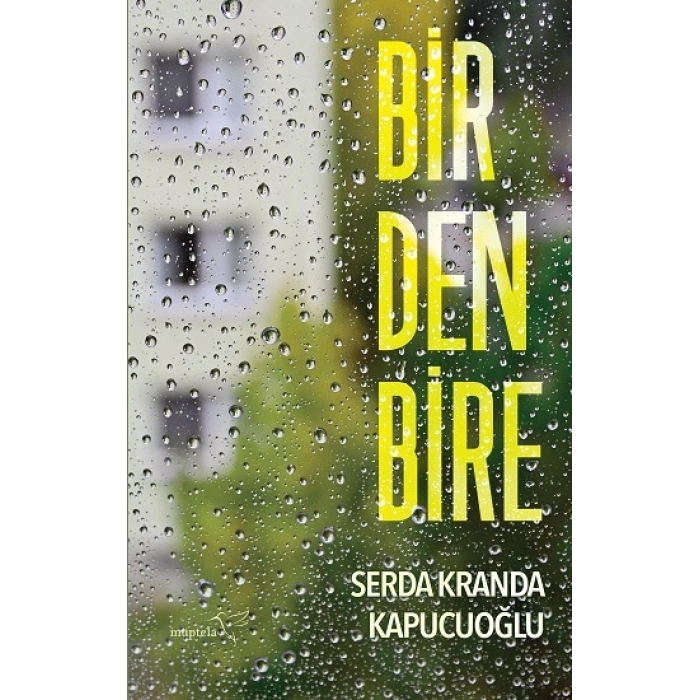 Birdenbire