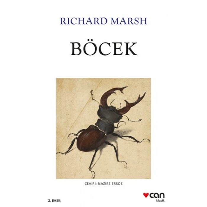 Böcek