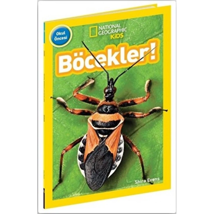 Böcekler! National Geographic Kids