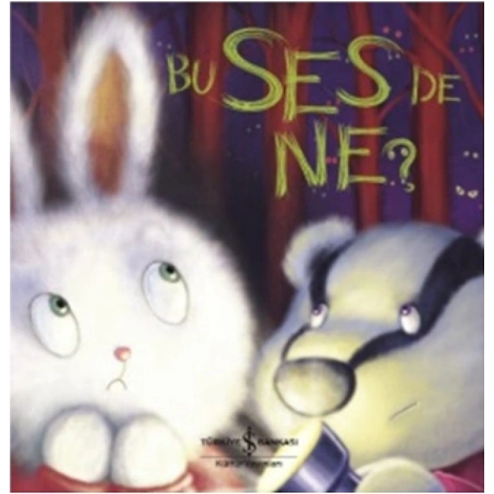 Bu Ses De Ne?