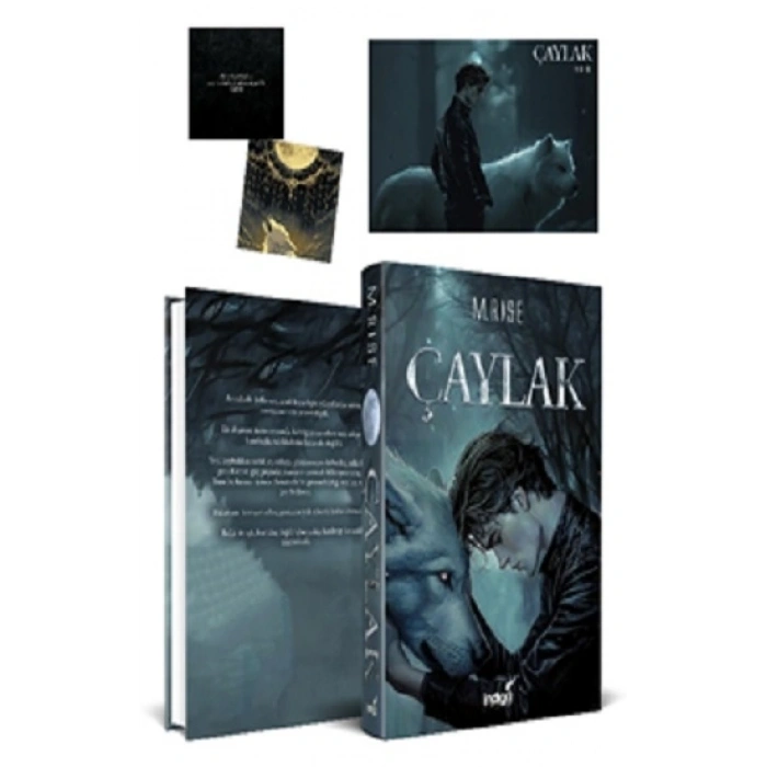 Çaylak (Ciltli)
