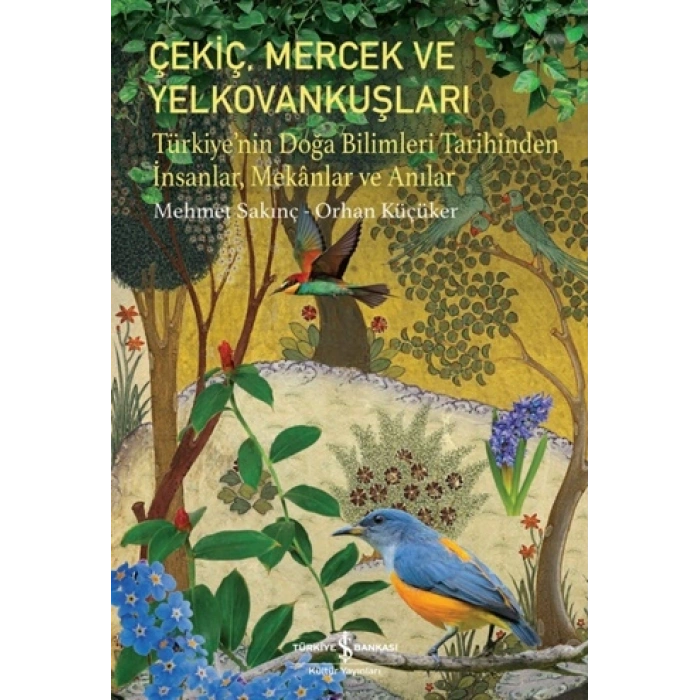 Çekiç, Mercek ve Yelkovankuşları