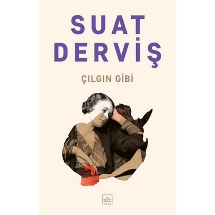 Çılgın Gibi