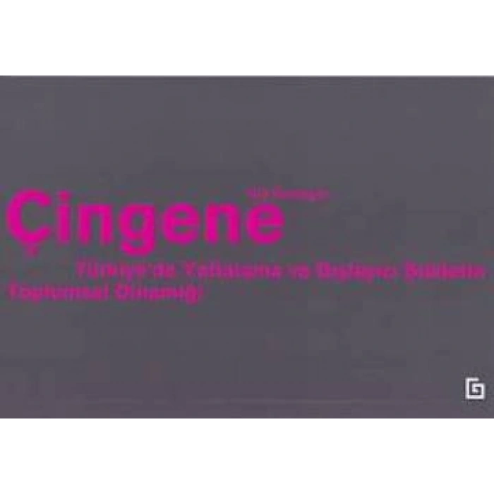 Çingene