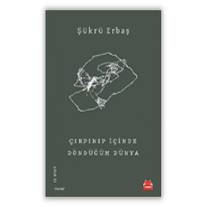 Çırpınıp İçinde Döndüğüm Dünya