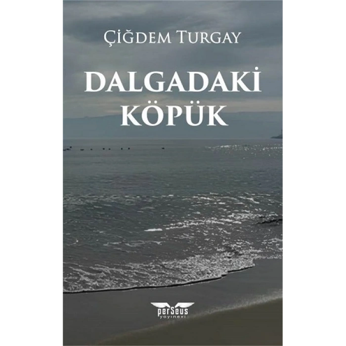 Dalgadaki Köpük