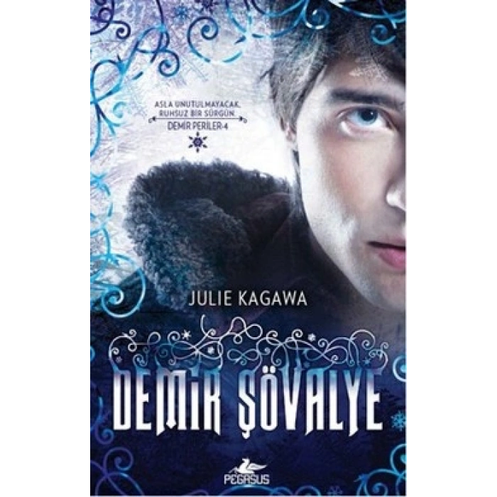 Demir Şövalye