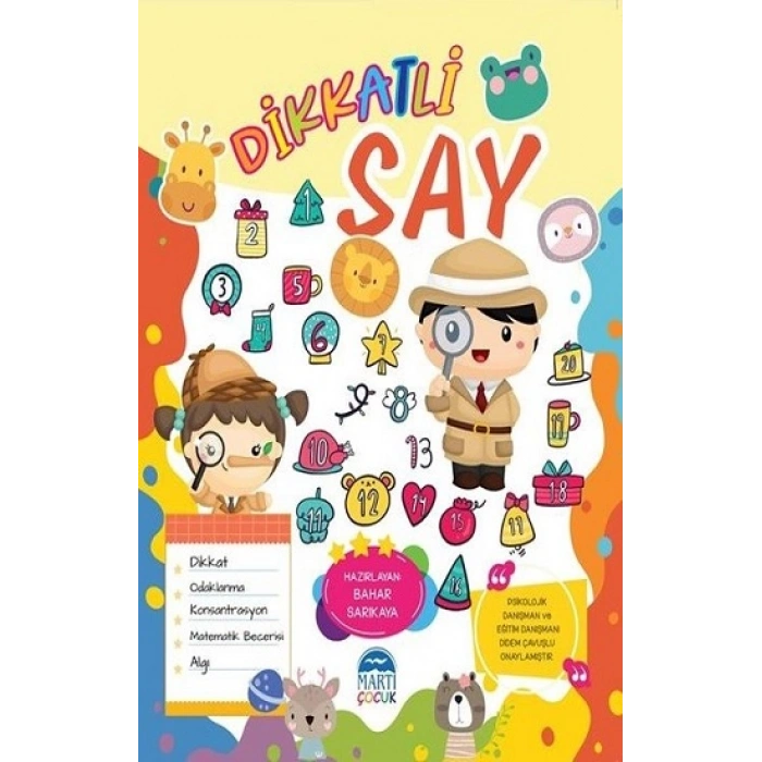 Dikkatli Say