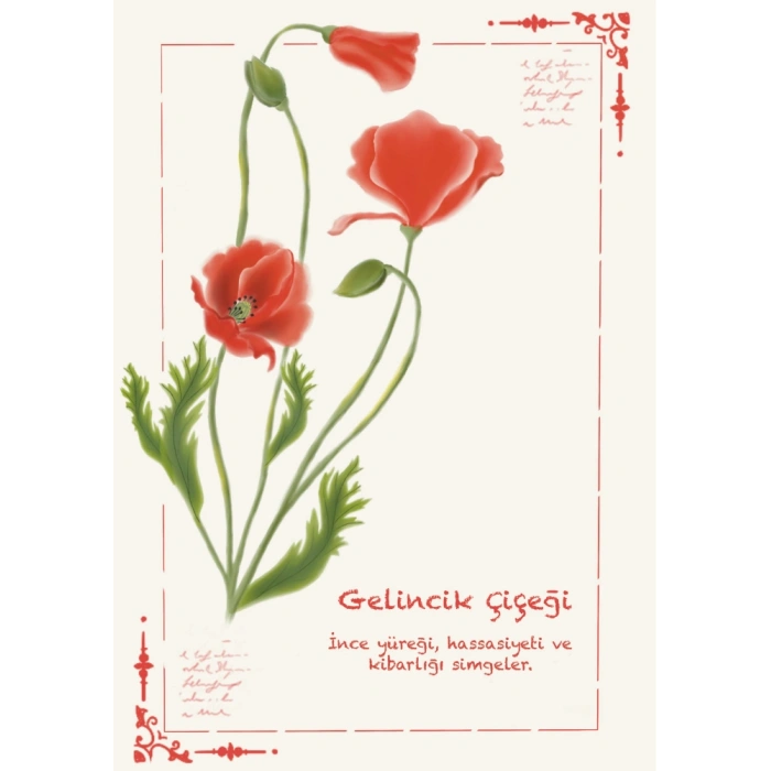 Gelincik Çiçeği / Kartpostal