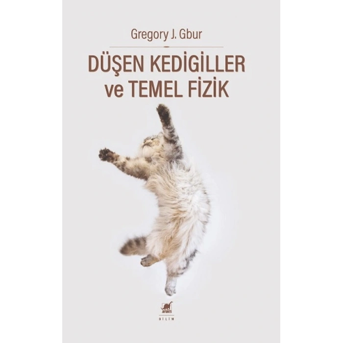 Düşen Kedigiller ve Temel Fizik