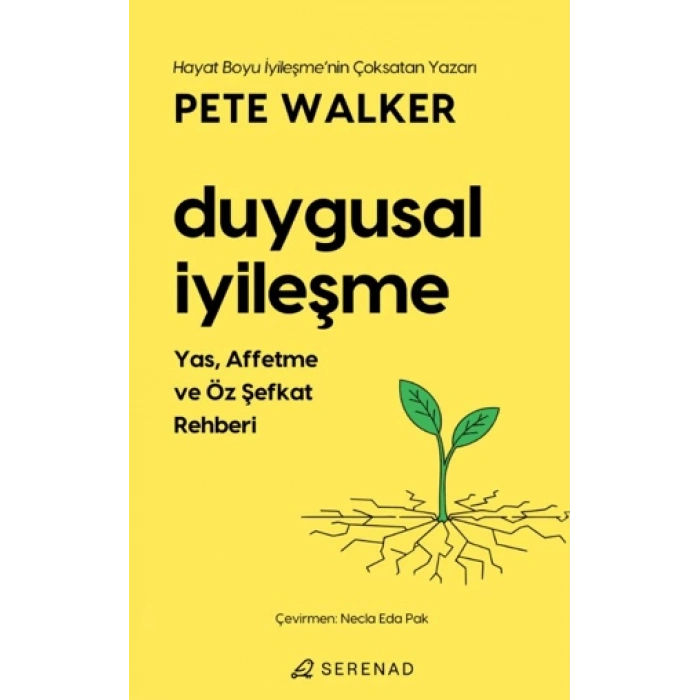Duygusal İyileşme