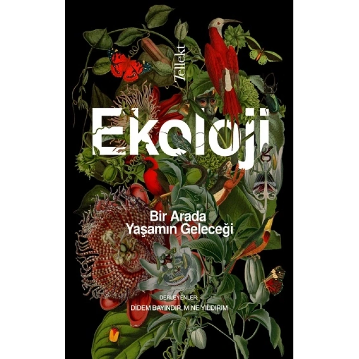 Ekoloji