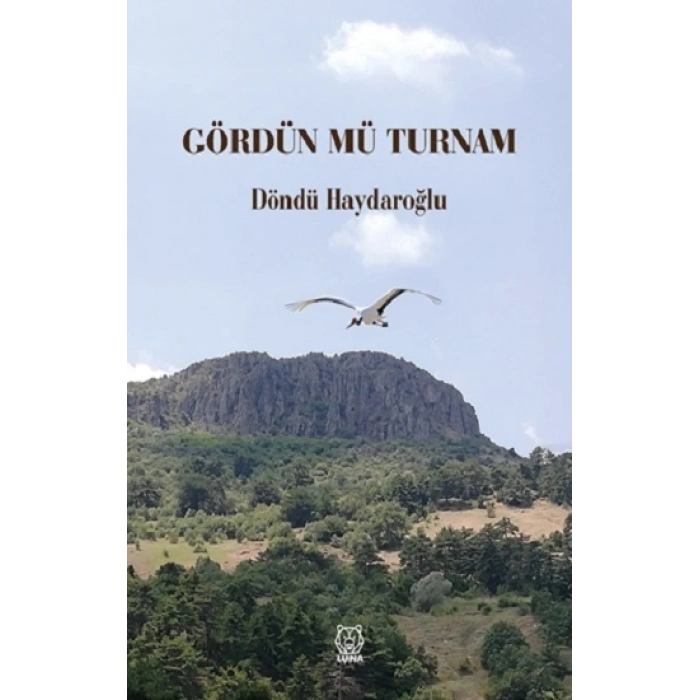 Gördün mü Turnam