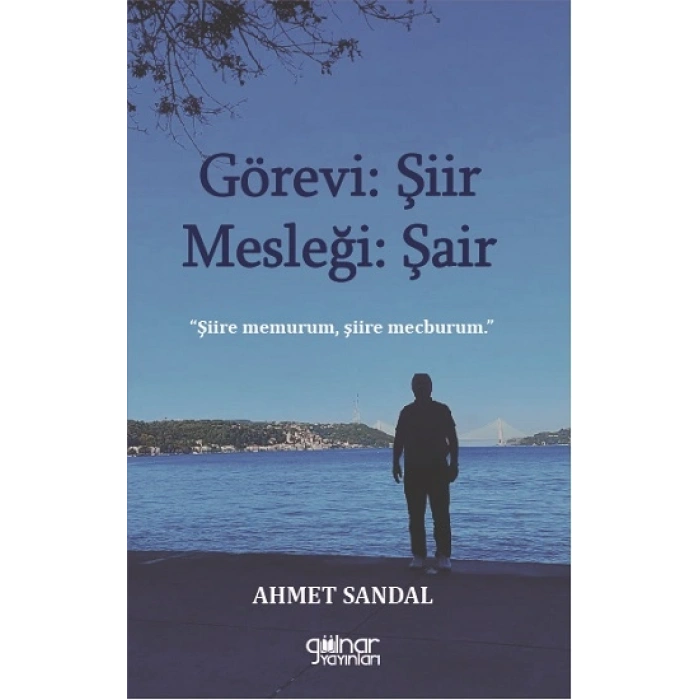 Görevi Şiir Mesleği Şair