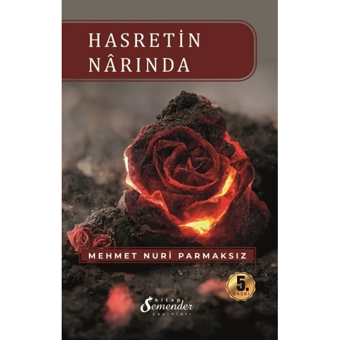 Hasretin Narında