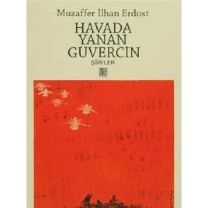 Havada Yanan Güvercin