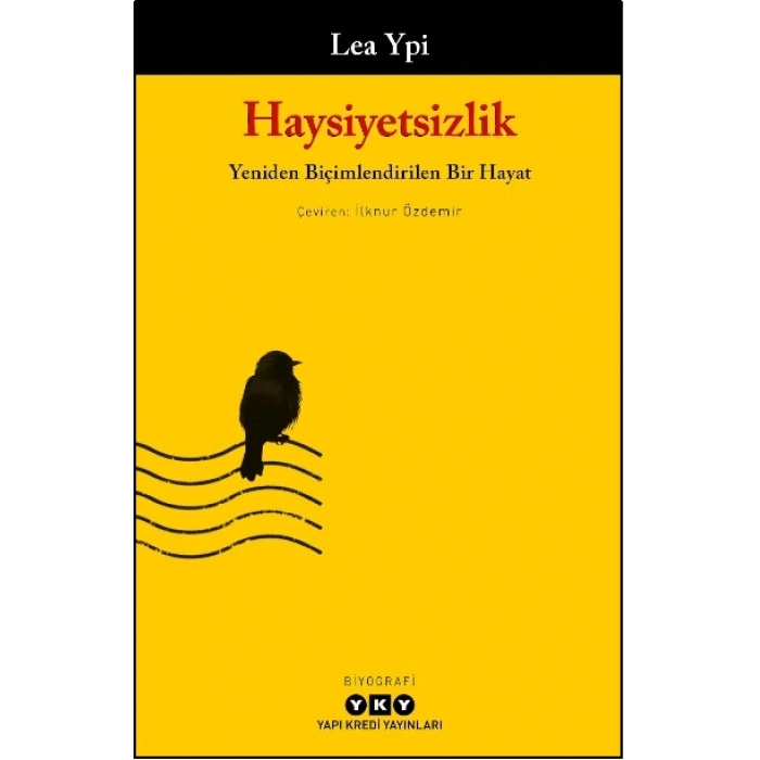 Haysiyetsizlik