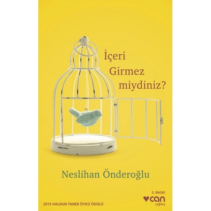 İçeri Girmez miydiniz ?