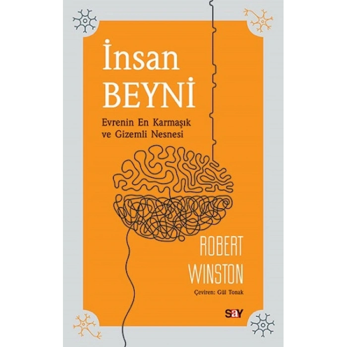 İnsan Beyni