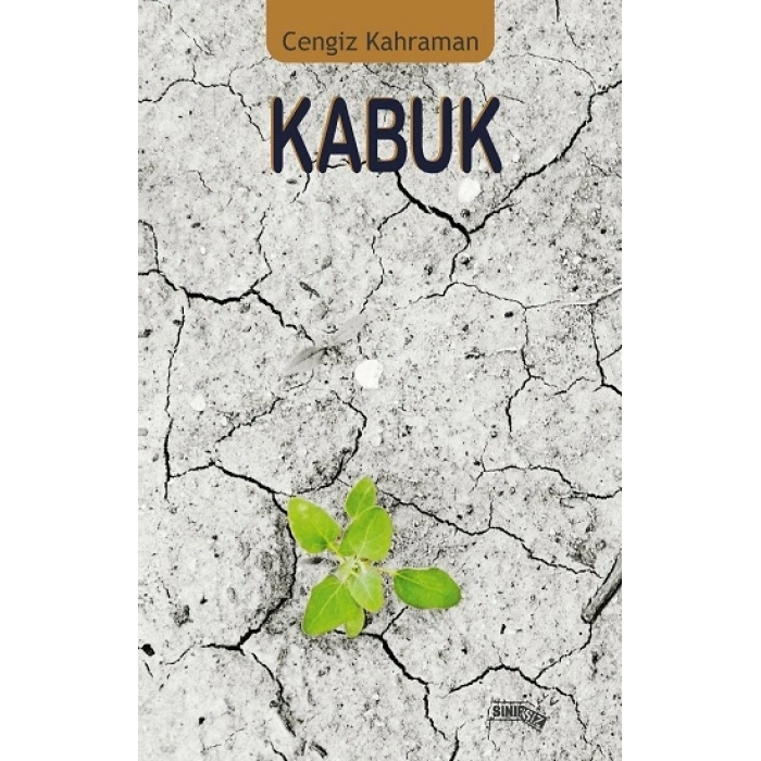 Kabuk