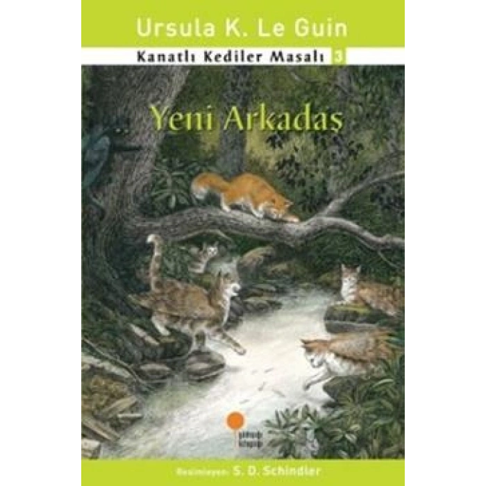 Kanatlı Kediler Masalı 3 - Yeni Arkadaş