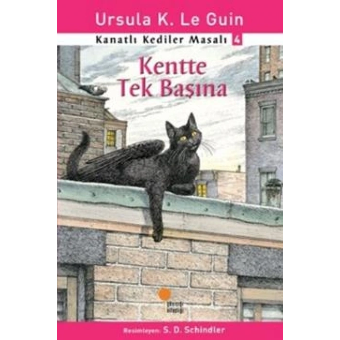 Kanatlı Kediler Masalı 4 - Kentte Tek Başına