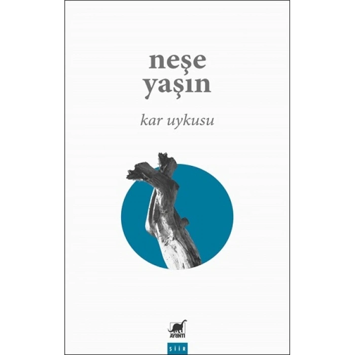 Kar Uykusu