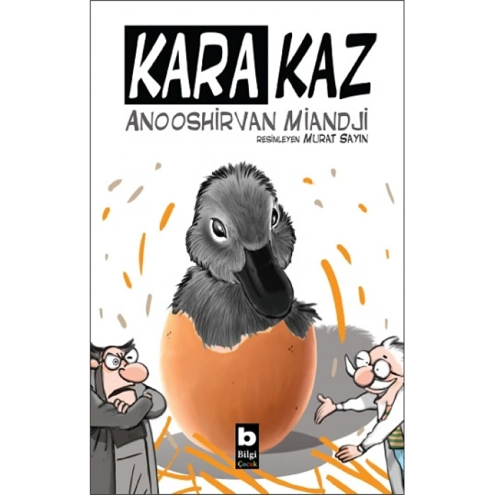 Kara Kaz