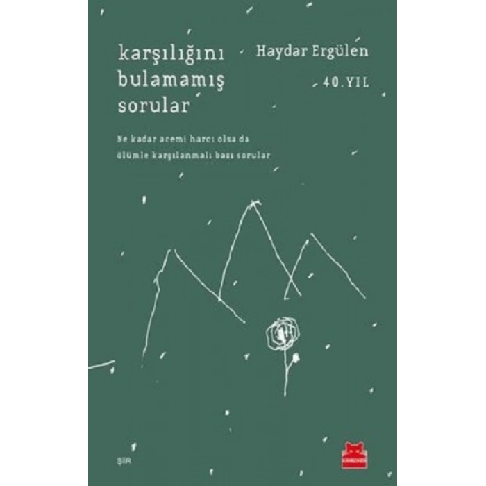 Karşılığını Bulamamış Sorular