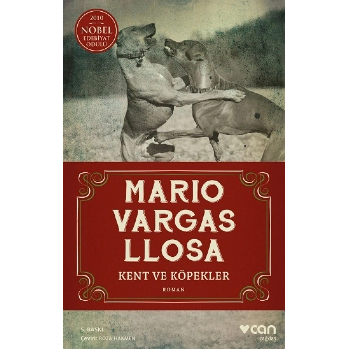Kent ve Köpekler