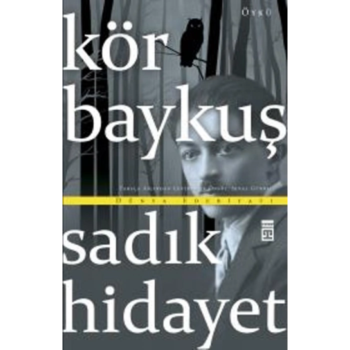 Kör Baykuş