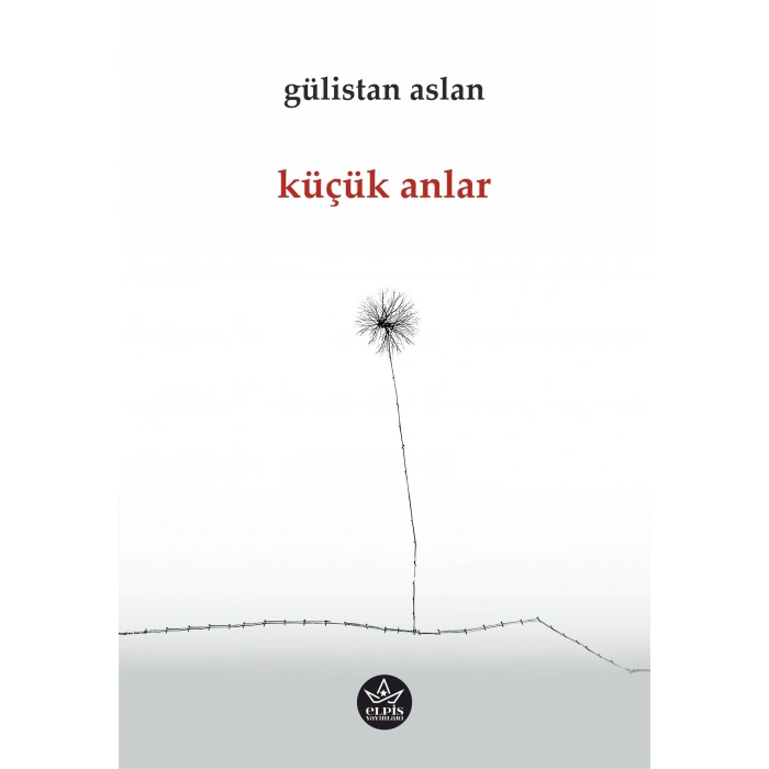 Küçük Anlar