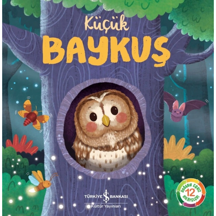 Küçük Baykuş